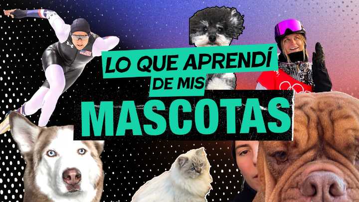 El equipo estadounidense comparte lecciones de vida de sus mascotas