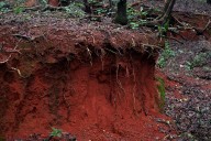 Managing soil fertilization levels can make for more efficient and productive crops