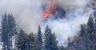 Continúa incendio forestal en San pedro Mártir