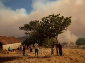 Por la ola de calor, España vive el peor agosto desde hace 75 años y por los incendios se quemaron más de 400.000 hectáreas