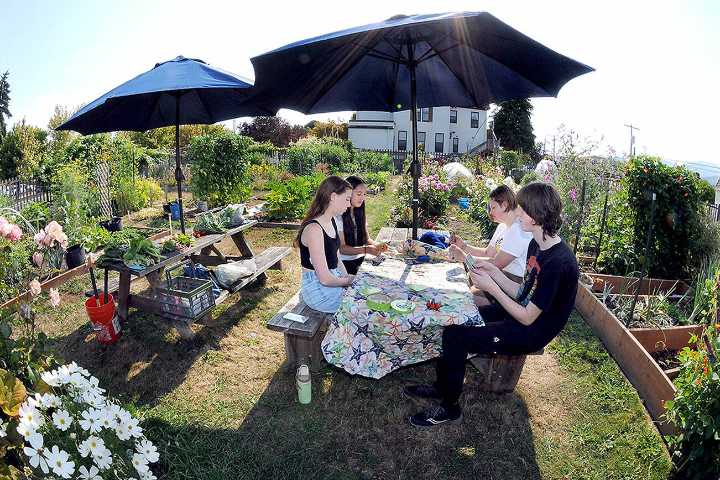 Cards in the garden