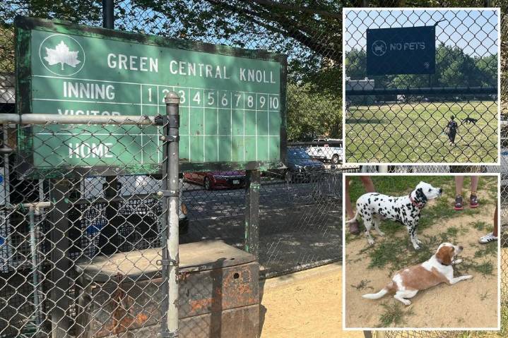 'Entitled' NYC pet owners turn kiddie ballfield into illicit poop