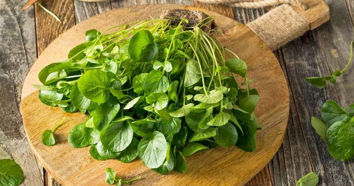 Top 5 Health Benefits of Watercress, From Blood Sugar to Cholesterol