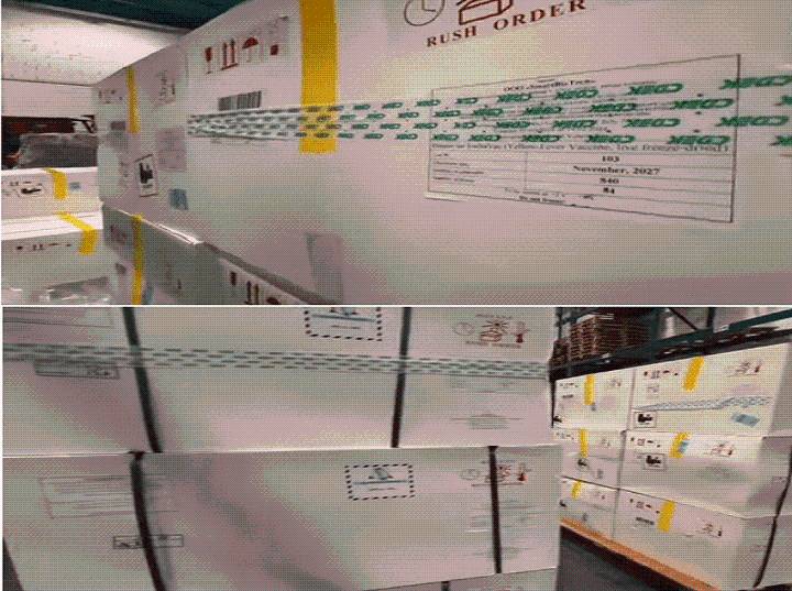 Llegaron desde Rusia 226 mil dosis contra la Fiebre Amarilla