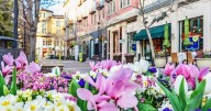 America’s most expensive housing markets in 2025