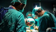 España líder en donación de órganos tras la muerte con 2.562 donantes