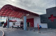 Mujer sufre picadura de Viuda Negra en colonia Rincón de Asturias