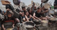 UK announces £8.5m in Gaza aid as warnings made over 'chaotic scenes' and starvation