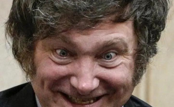 Emergencia en Discapacidad: Javier Milei quiere evitar la implementación y prepara la judicialización de la ley