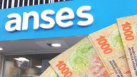 Créditos de ANSES: AUH, SUAF y jubilados, cómo saber si podés acceder y cuánto pedir