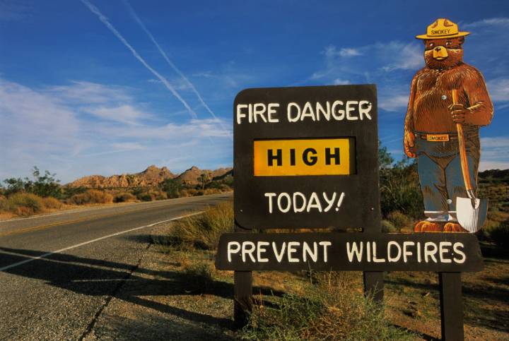 Smokey Bear Helps Arrest Thief Who Stole Park Signs