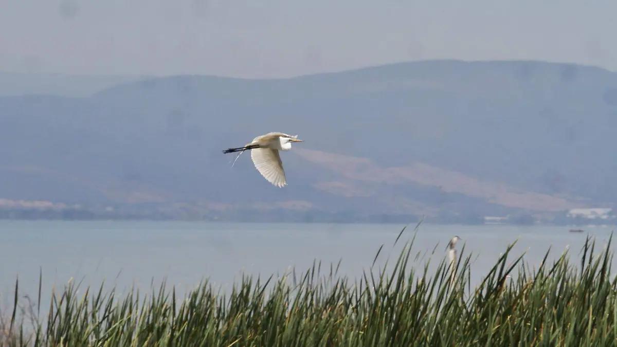 ¿Un lago dentro de un cráter volcánico? Conoce este y más cuerpos de agua de la región