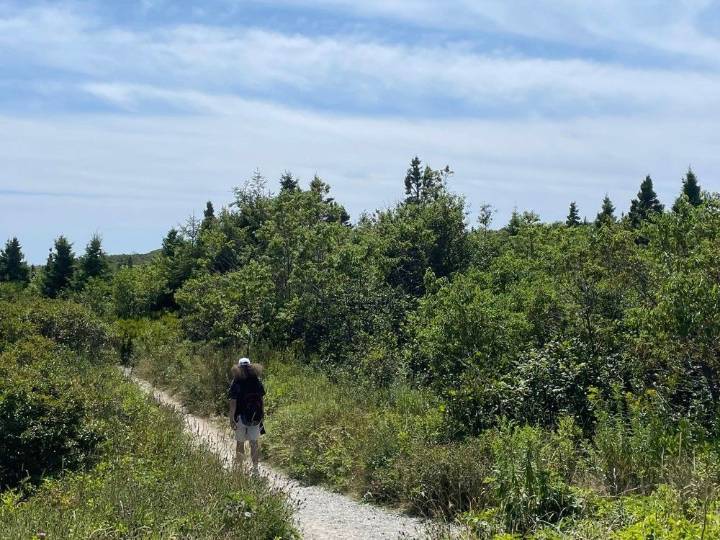 Some people risk $25,000 fine to reach Nova Scotia's nude beach
