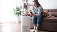 Humidifier vs. Purifier: We Asked Medical Experts Which Is Better for Allergies