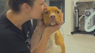 Calgarians line up for affordable pet care at new animal hospital