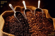 Cafés de Venezuela brillarán en «Encuentro Internacional de Especialidad 2025»