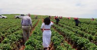 EE.UU. pierde 1.2 millones de trabajadores inmigrantes en 2025