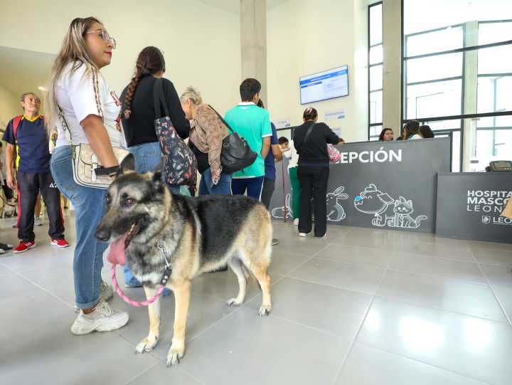 SUPERA EXPECTATIVAS HOSPITAL DE MASCOTAS LEÓN 450, SUMA MÁS DE 3 MIL ATENCIONES