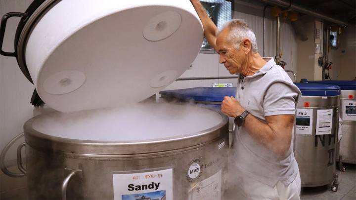 Harvard Scientists Say Research Could Be Set Back Years After Funding Freeze
