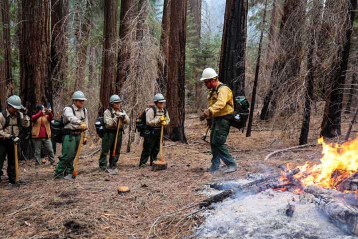 CAL FIRE invests $5 M to expand biomass use and train forestry workers