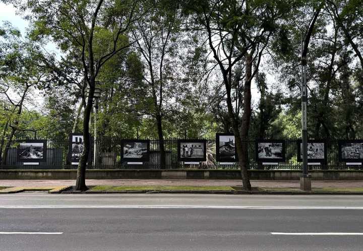 A 40 años del 19-S, exposición fotográfica revive la memoria del sismo de 1985