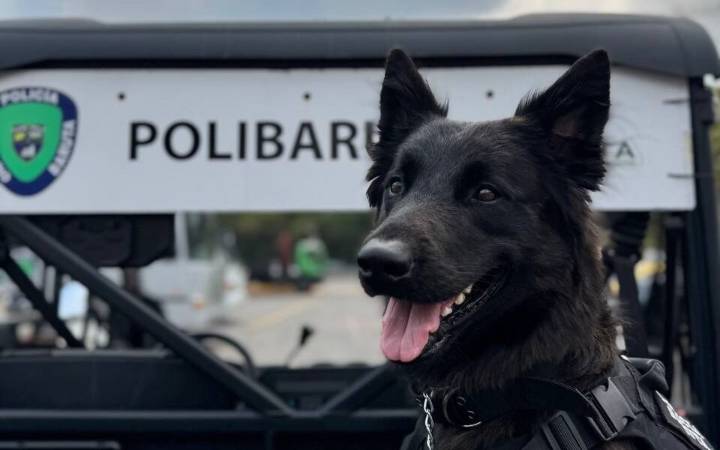 PoliBaruta creó Brigada Canina y refuerza seguridad vial en su 32 aniversario