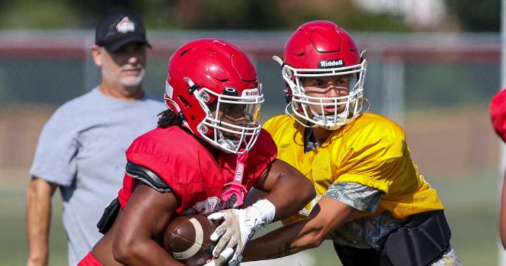 Selfless Yorkville running back TJ Harland embraces blocking, physicality: ‘I like the contact’