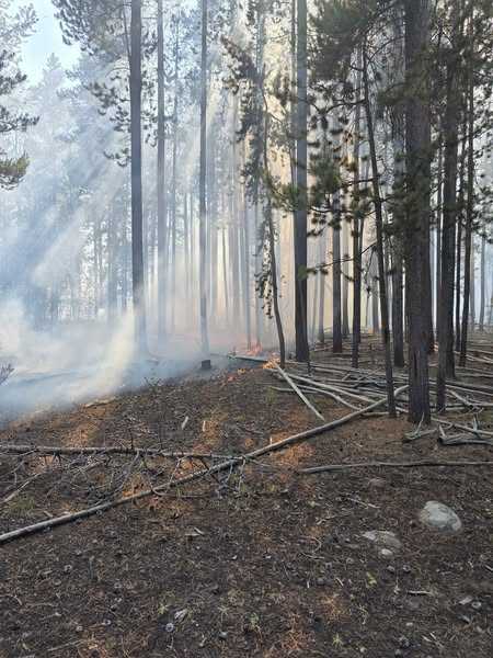 Davis Hollow Fire Prompts Stage 1 Fire Restrictions On Ashley National Forest