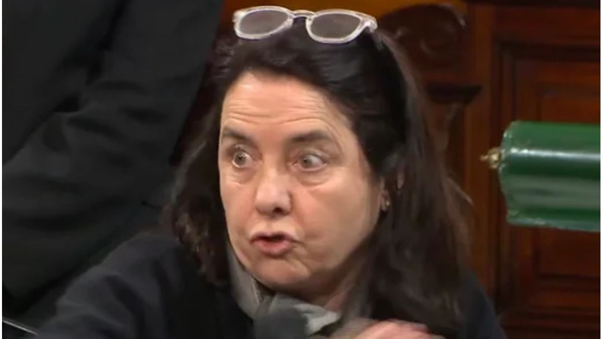 "No creo que los niños tengan derecho a ser curados en el Garrahan": polémica frase de una senadora