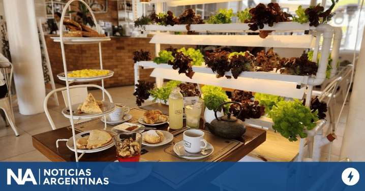 De gastronómicos a proveedores de la industria alimenticia gourmet de Buenos Aires
