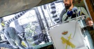 Desmantelan en Nules (Castellón) un zoo privado clandestino con 150 animales exóticos