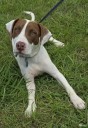 It’s a beautiful day!  Spend it with an adoptable pet.  Aug 16