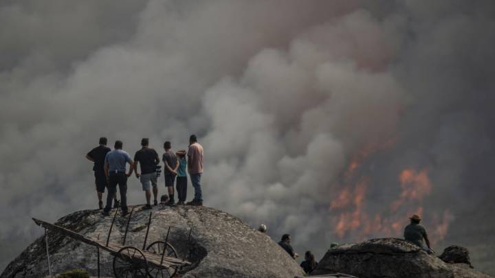 Ferran Dalmau, ingeniero forestal, señala la decisión que tomó España "hace 50 años" y que ha afectado a los incendios de este verano