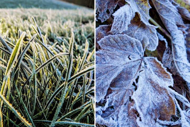 Old Farmer’s Almanac Predicts First Frost For Capital Region
