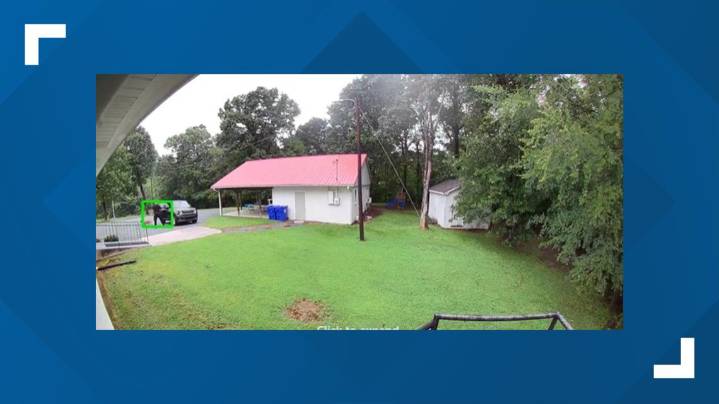 Video shows dog abandoned in Pleasant Garden; Officials seek public’s help identifying suspect