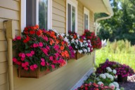 Labor Day signals important milestones in lawn care and gardening calendar