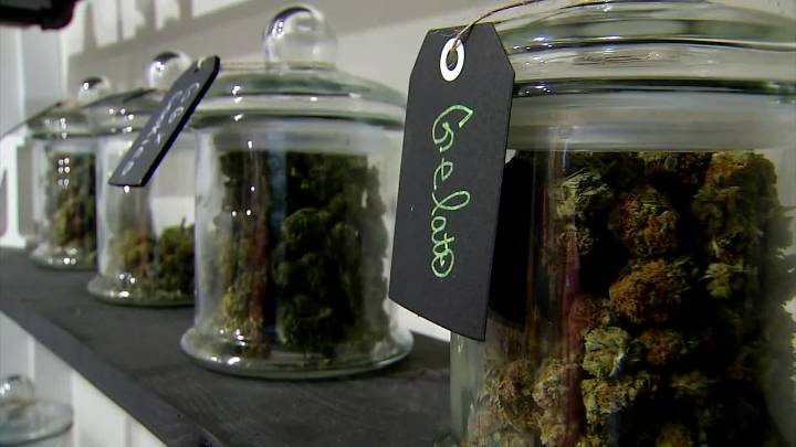 173,000 votes needed to get legalization of recreational marijuana on 2026 ballot in Oklahoma