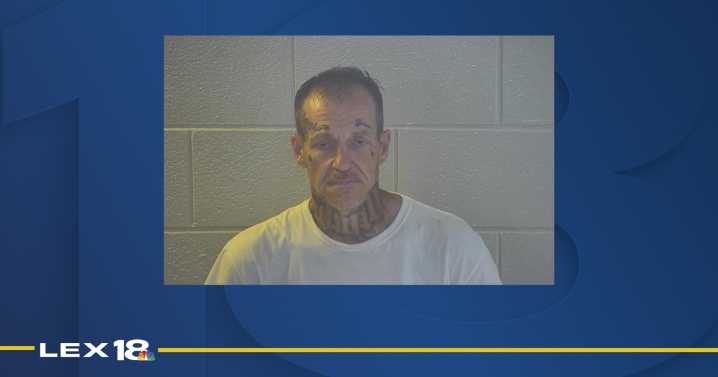 Drug investigation leads officers to arrest prior convicted felon in Pulaski County