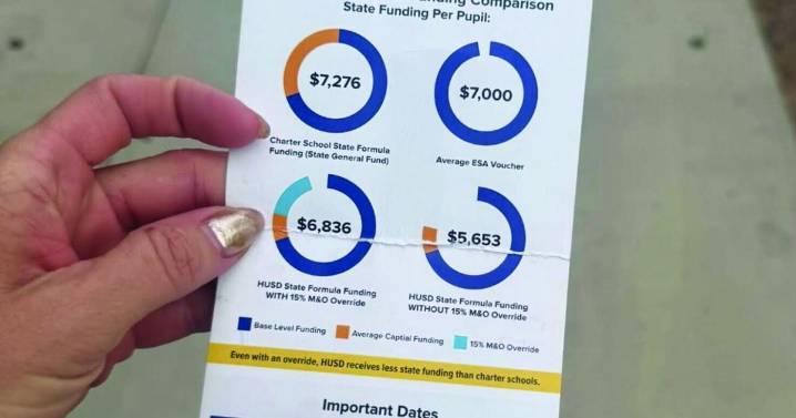 Higley says no campaign violations occurred with students