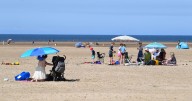 The beautiful beach with sand dunes and pine forests 90 minutes from Manchester