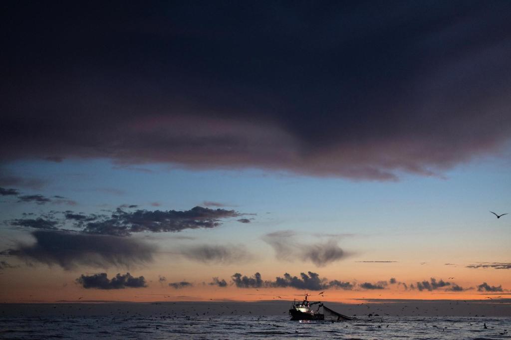 AI is fast-tracking climate research