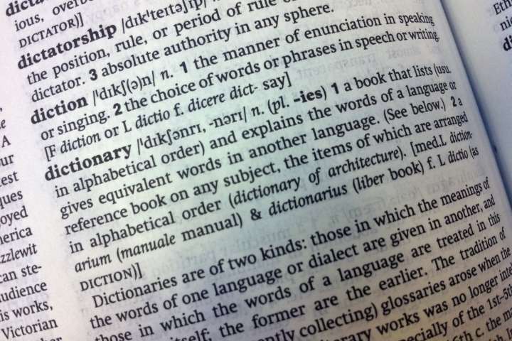 Cambridge Dictionary adds 'skibidi' and 'tradwife' among 6,000 new words