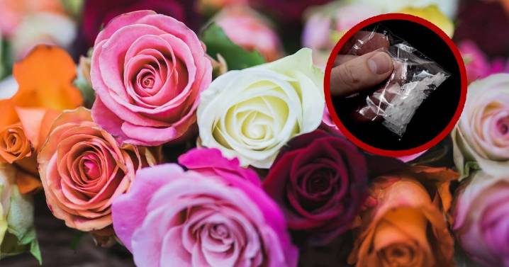Oculto en rosas hallan millonario cargamento de metanfetamina en Texas