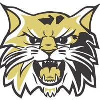 Goodell gets new start on softball diamond with Neosho