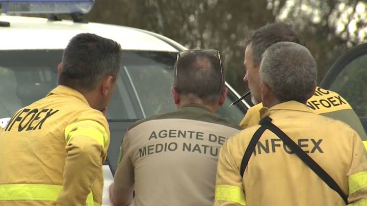 Extremadura registra 27 incendios forestales en la última semana, que queman más de 2.300 hectáreas