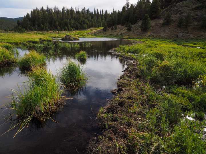 The Outsider | Broadening perspectives on busy beavers