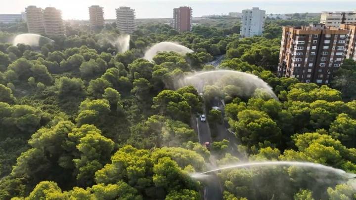 Valencia vuelve a activar los ocho caños de El Saler ante el riesgo de incendio