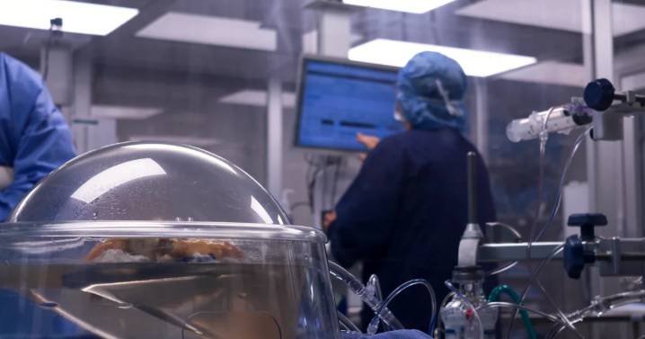 Statewide: Giving more hope to those in need of kidney transplants