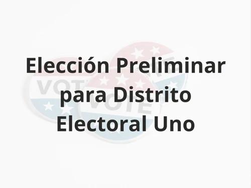 Elección Preliminar para Distrito Electoral Uno