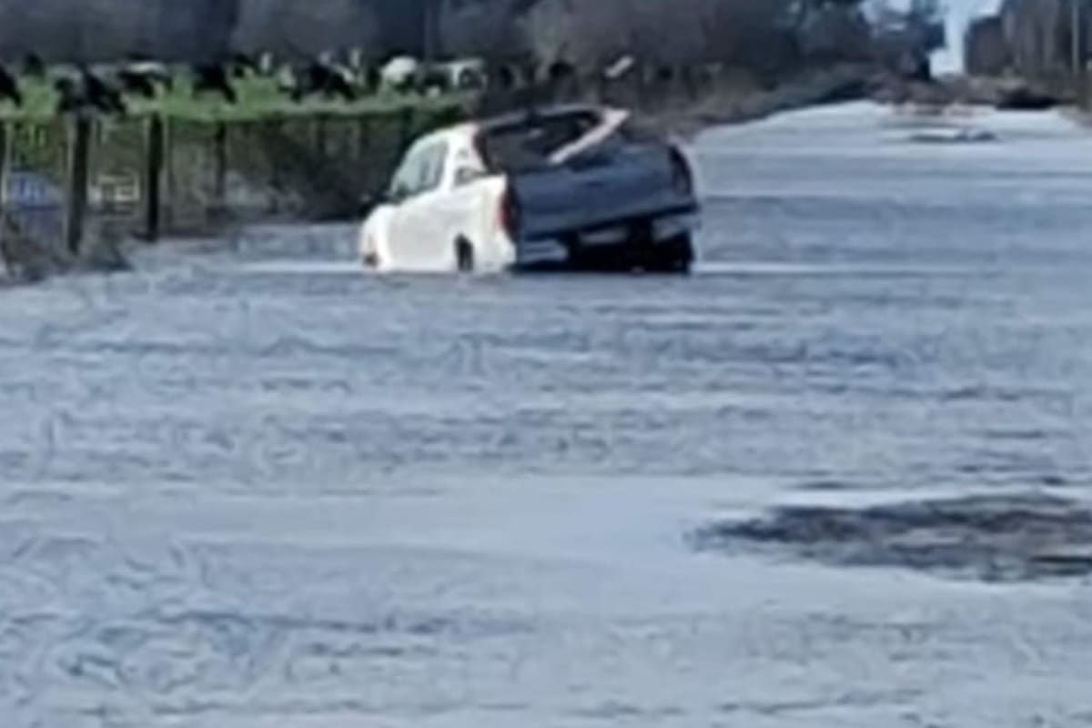 “Catastrófico”. Alarmante situación en las zonas rurales en jaque por las inundaciones